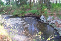 McCartney Creek