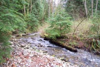 Mossom Creek