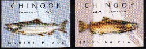 Chinook Salmon ID Card-Front